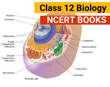 NCERT Biology Book for Class 12 - FREE PDF Download